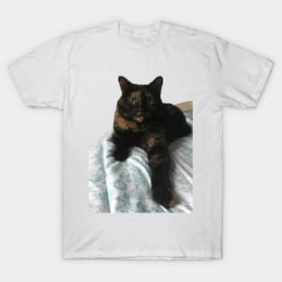 Tortie Offers Paw T-Shirt